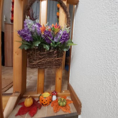Apartmán Kleine Altstadt Oase Bernkastel-Kues Exteriér fotografie