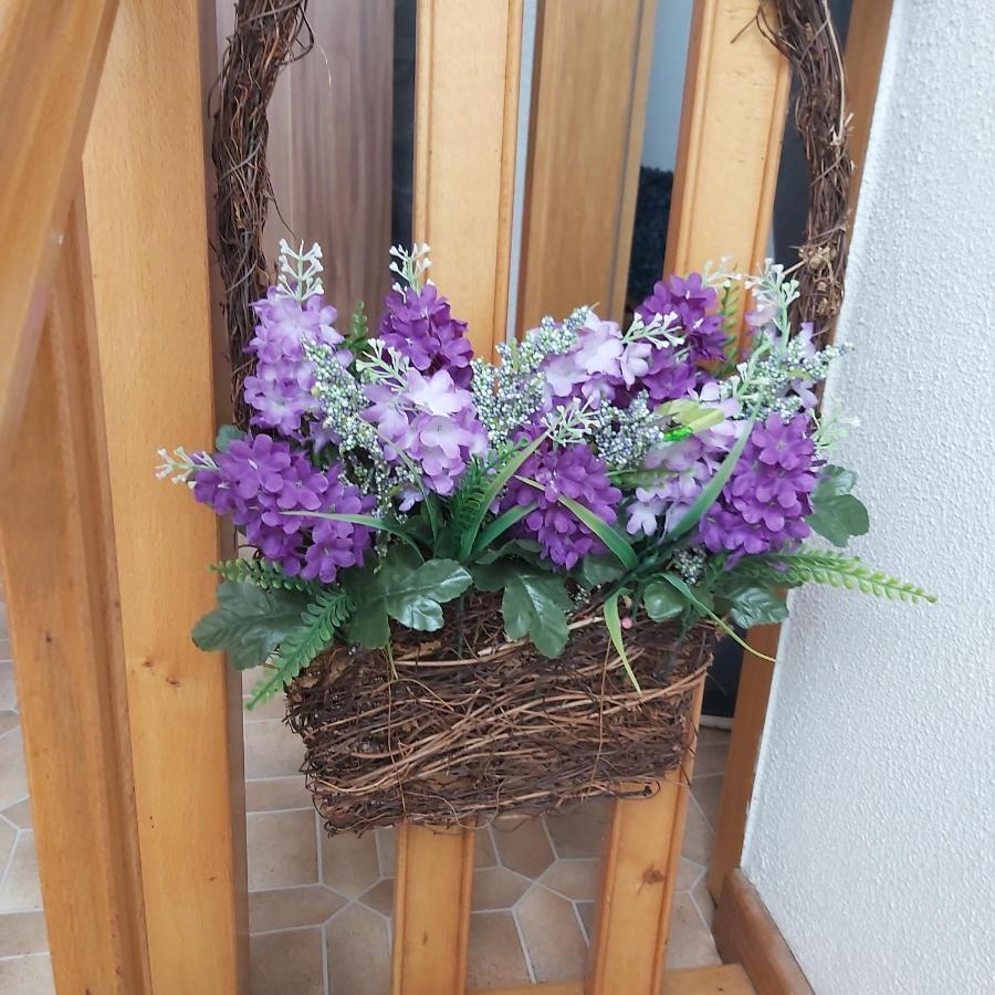 Apartmán Kleine Altstadt Oase Bernkastel-Kues Exteriér fotografie