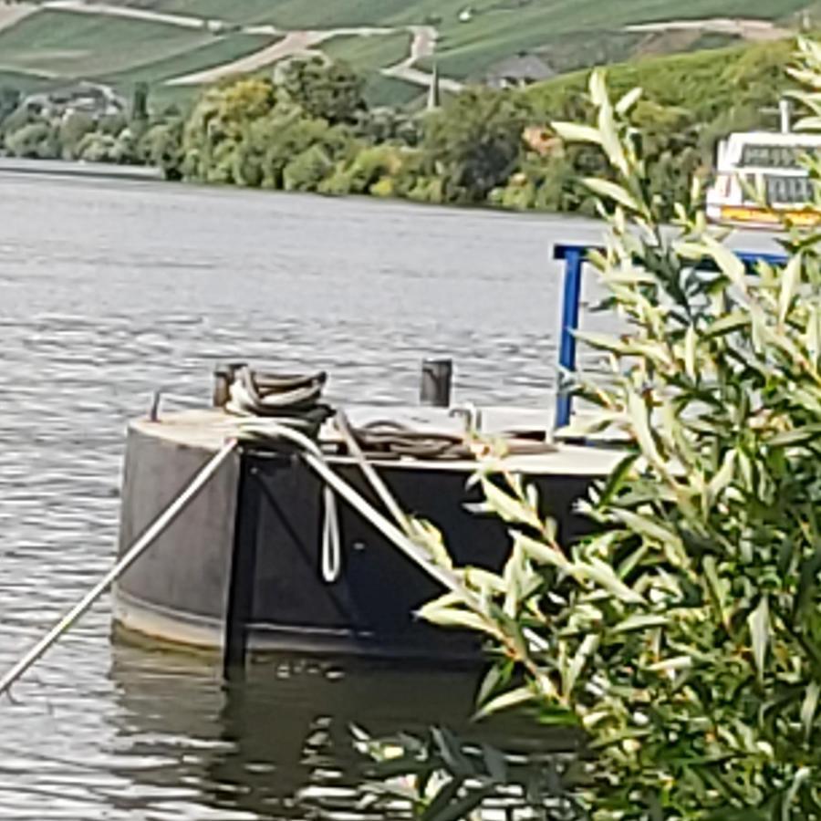 Apartmán Kleine Altstadt Oase Bernkastel-Kues Exteriér fotografie