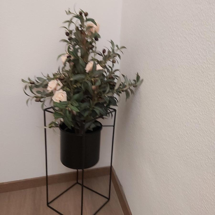 Apartmán Kleine Altstadt Oase Bernkastel-Kues Exteriér fotografie