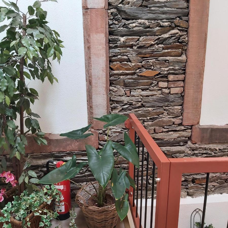 Apartmán Kleine Altstadt Oase Bernkastel-Kues Exteriér fotografie